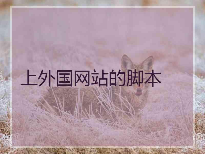 上外国网站的脚本