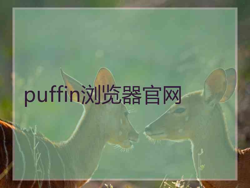puffin浏览器官网