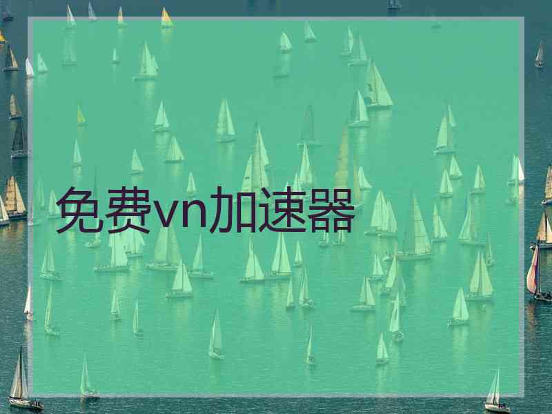 免费vn加速器