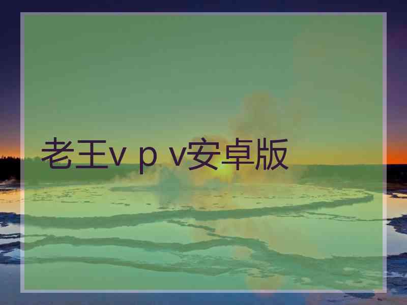 老王v p v安卓版
