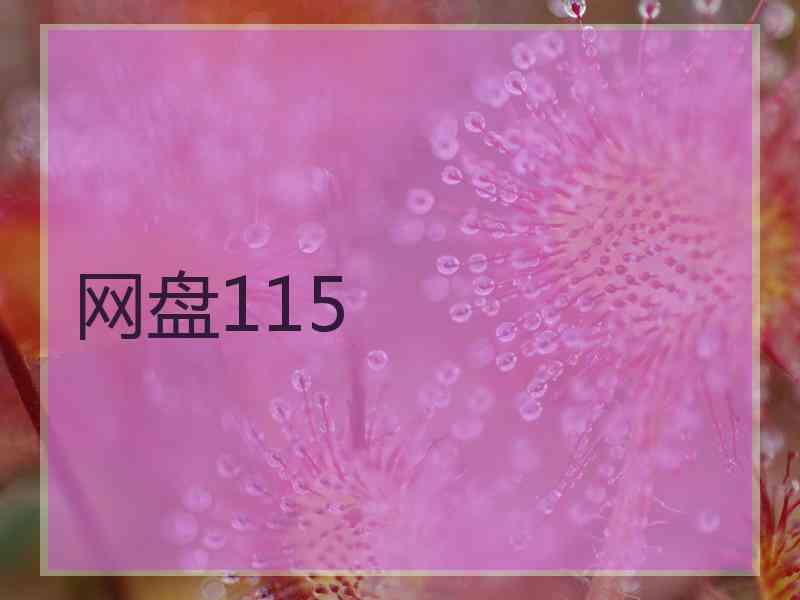 网盘115