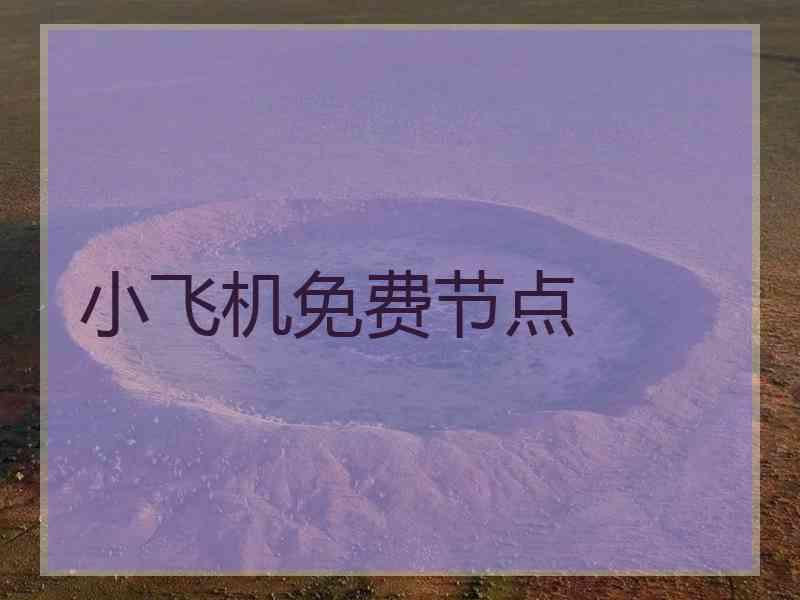 小飞机免费节点