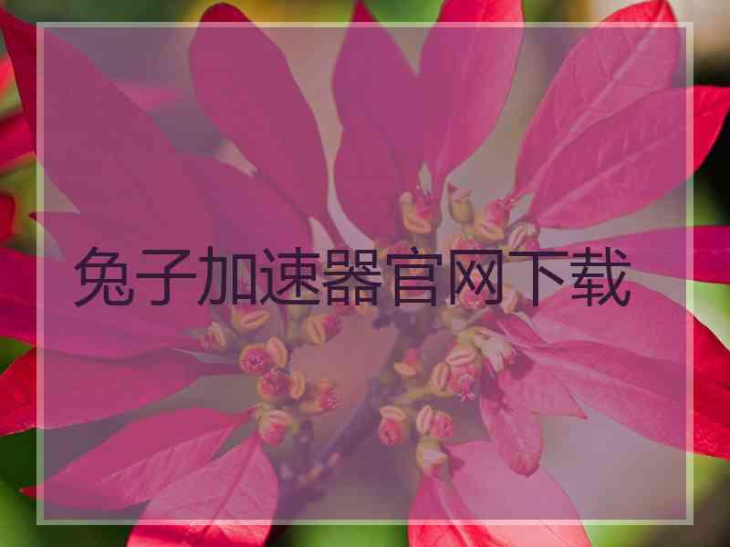 兔子加速器官网下载