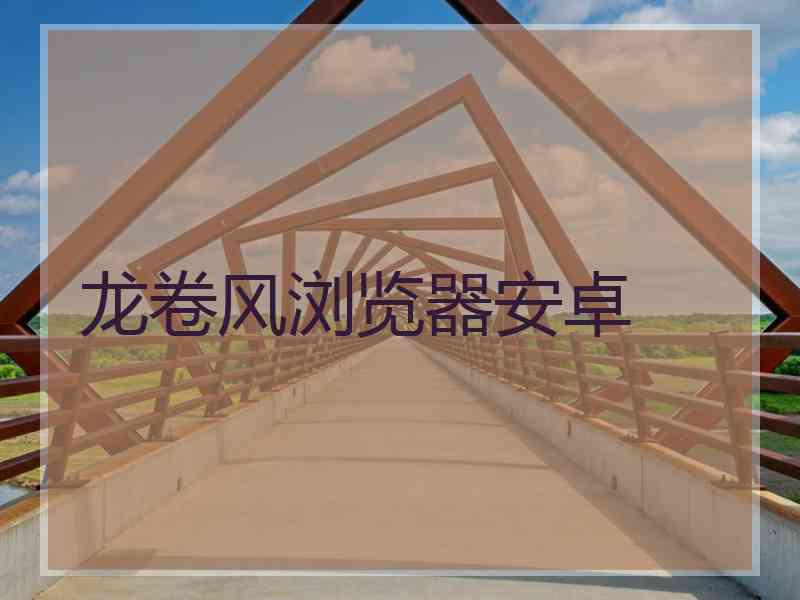 龙卷风浏览器安卓