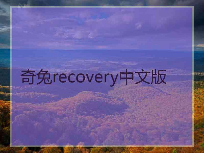 奇兔recovery中文版