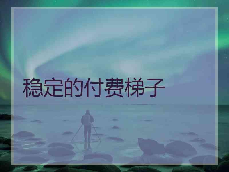 稳定的付费梯子