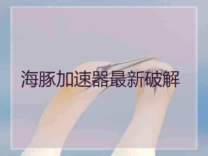 海豚加速器最新破解