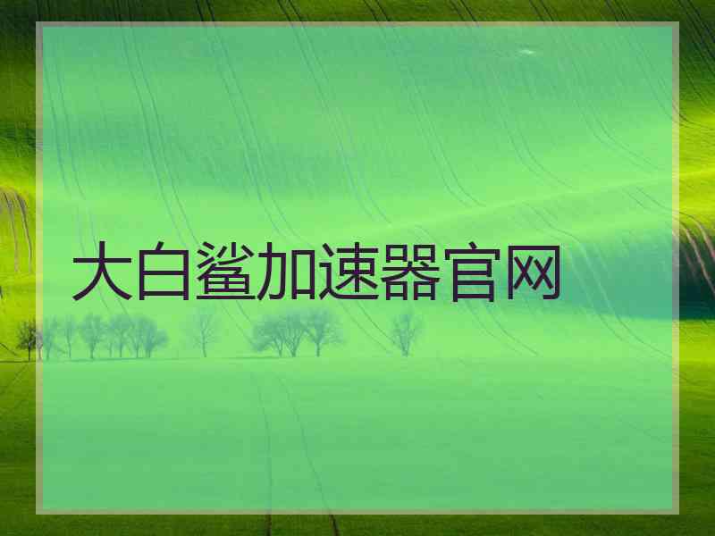 大白鲨加速器官网
