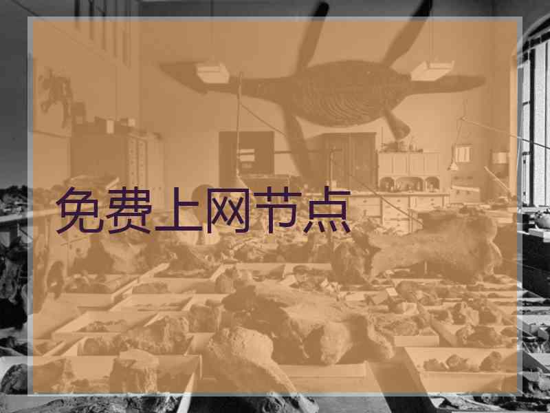 免费上网节点