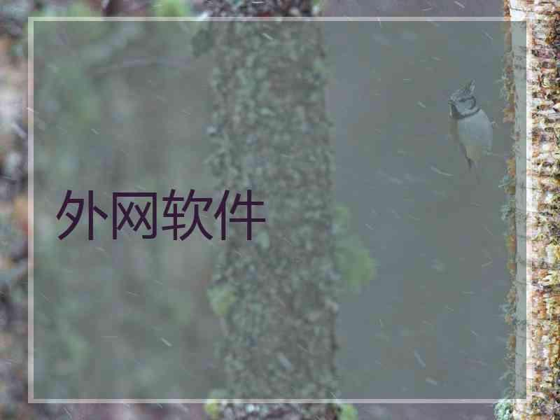 外网软件