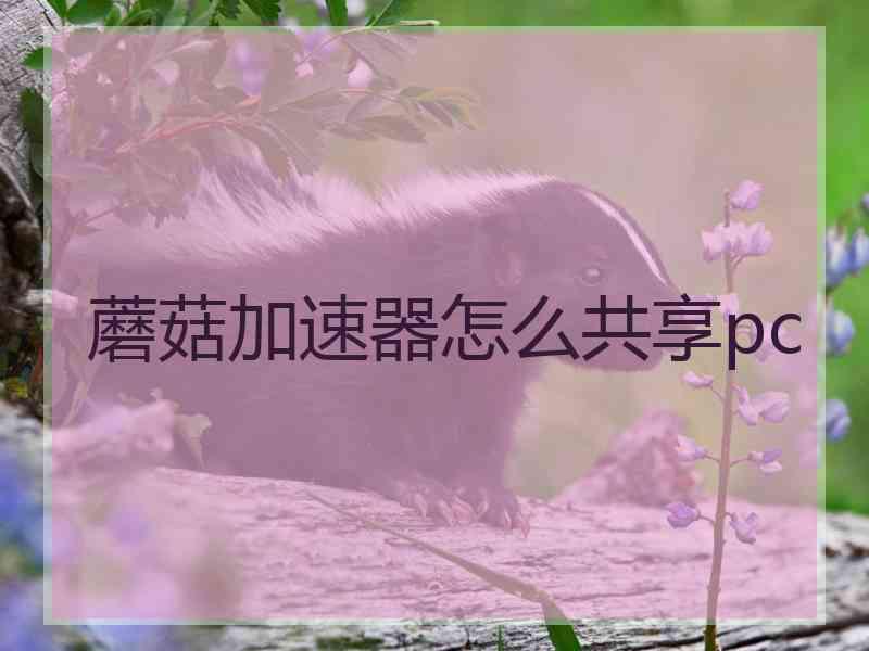 蘑菇加速器怎么共享pc