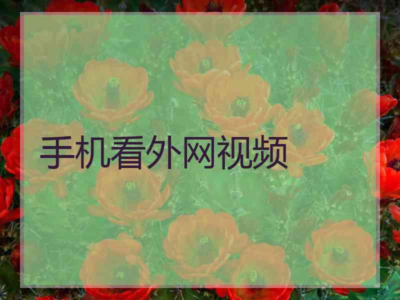 手机看外网视频