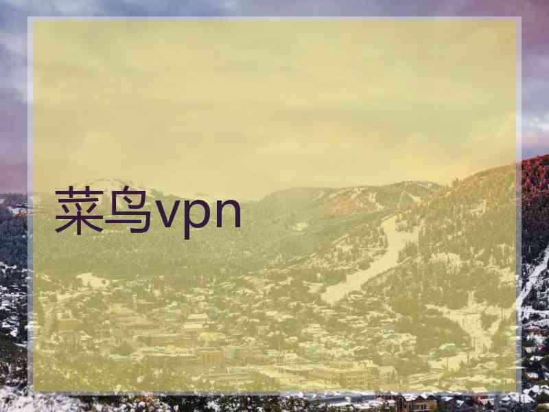 菜鸟vpn