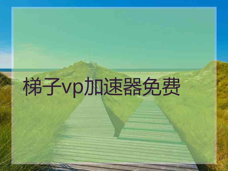 梯子vp加速器免费