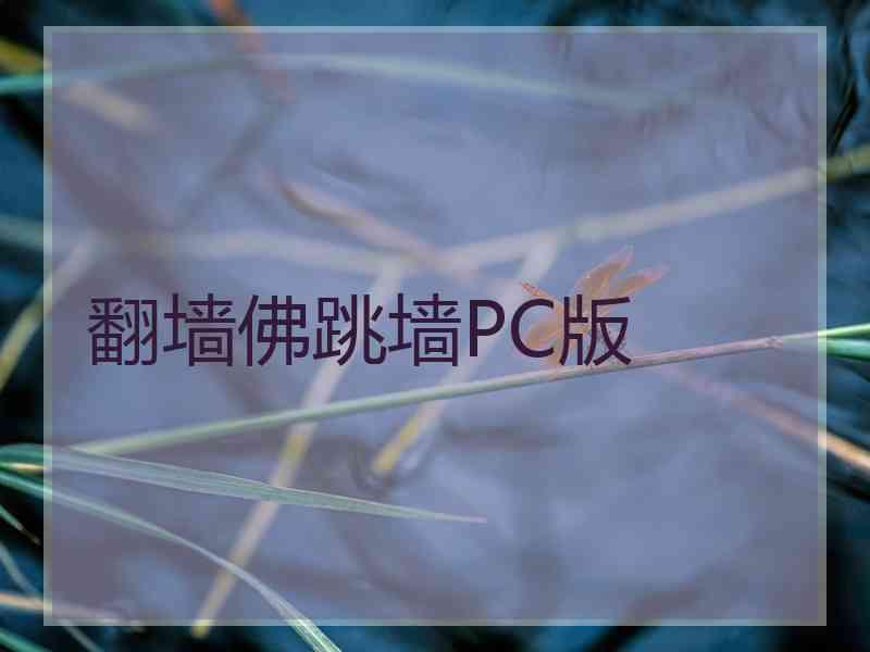 翻墙佛跳墙PC版