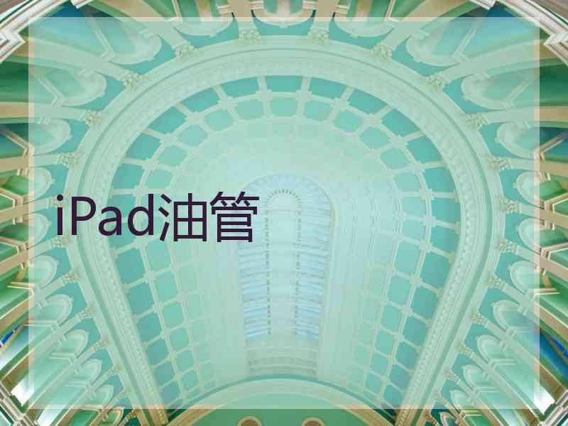 iPad油管