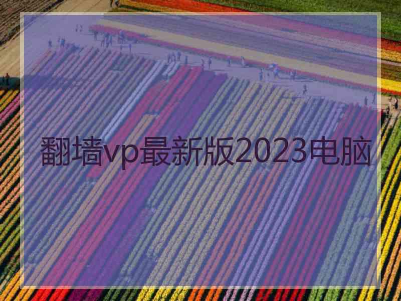 翻墙vp最新版2023电脑
