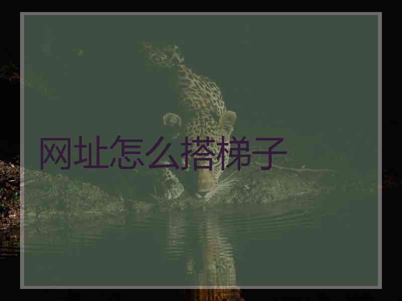 网址怎么搭梯子