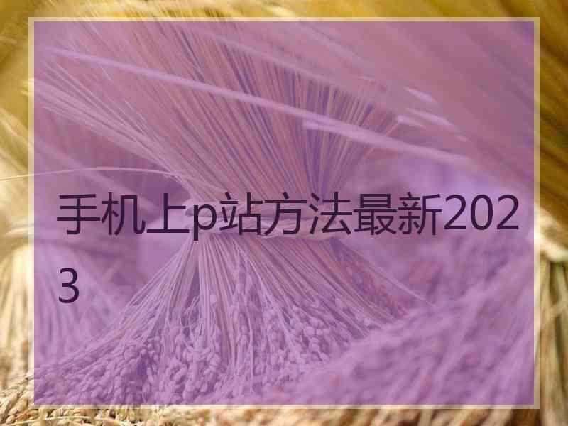 手机上p站方法最新2023