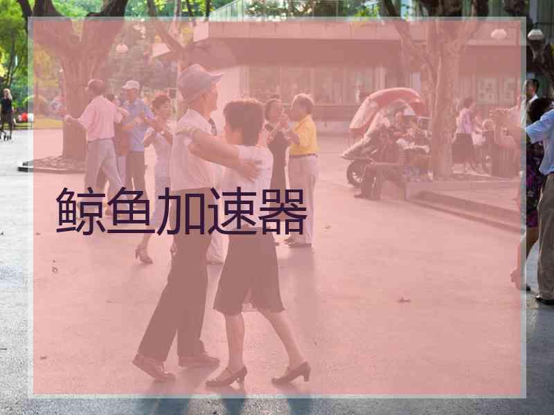 鲸鱼加速器