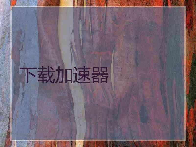 下载加速器