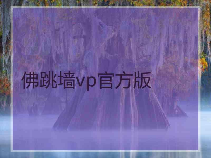 佛跳墙vp官方版
