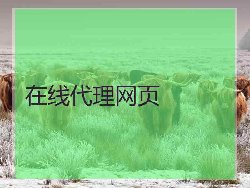 在线代理网页