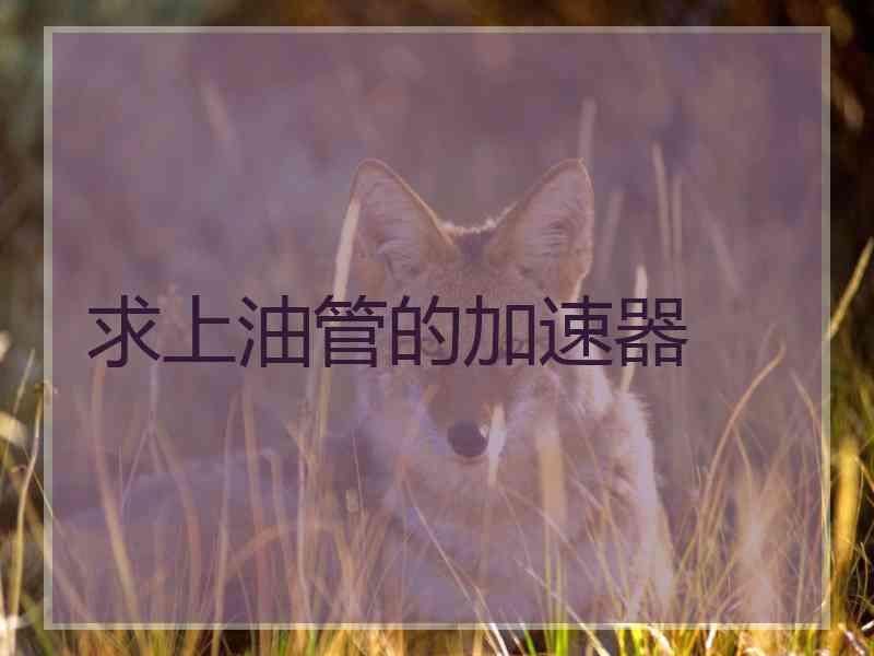 求上油管的加速器