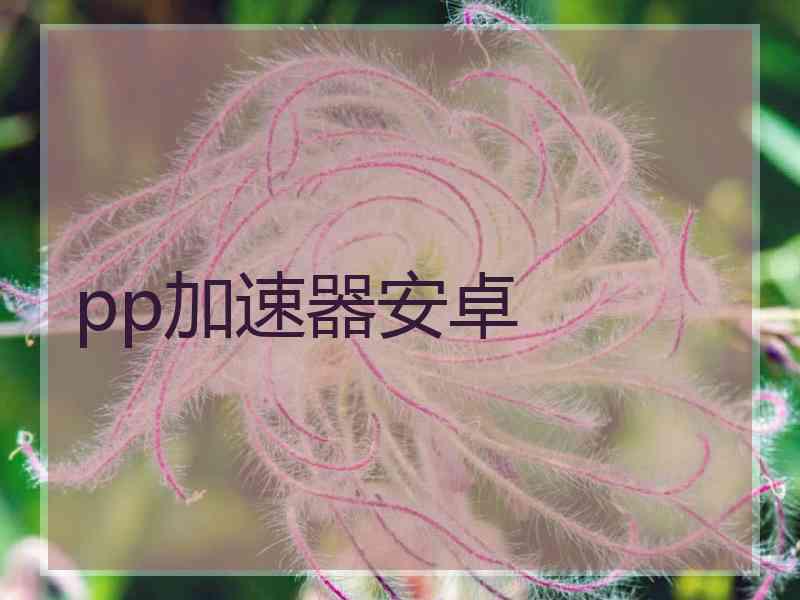 pp加速器安卓