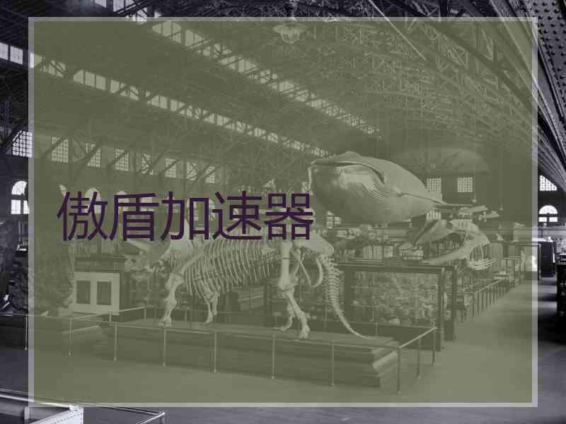 傲盾加速器