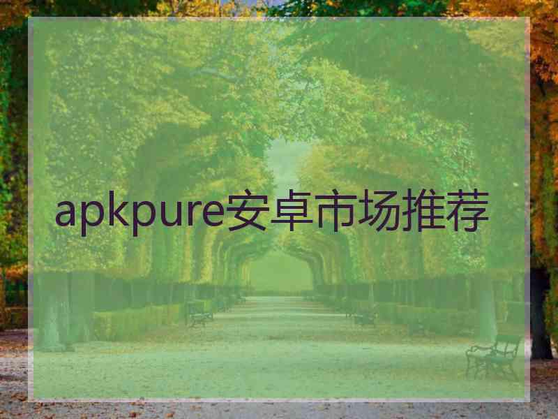 apkpure安卓市场推荐