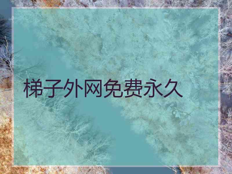 梯子外网免费永久