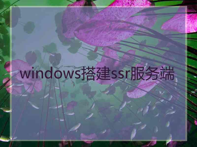 windows搭建ssr服务端
