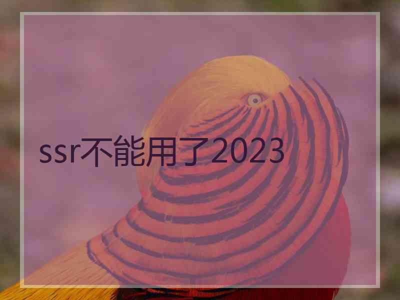 ssr不能用了2023