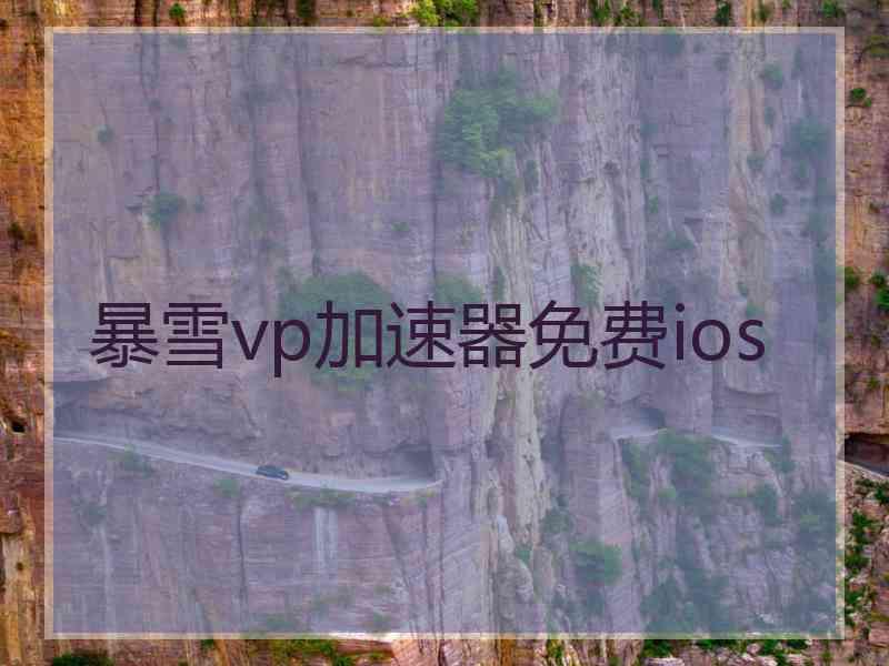 暴雪vp加速器免费ios
