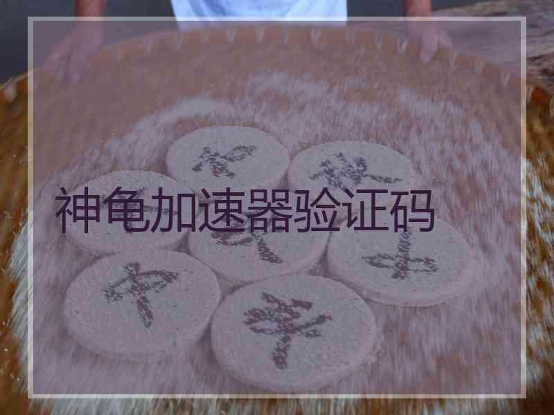 神龟加速器验证码
