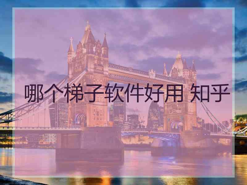 哪个梯子软件好用 知乎