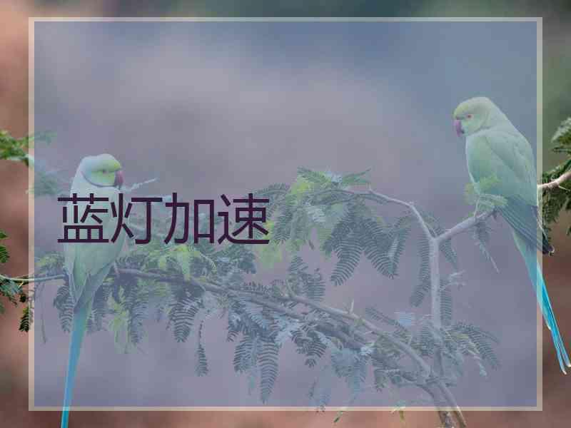 蓝灯加速