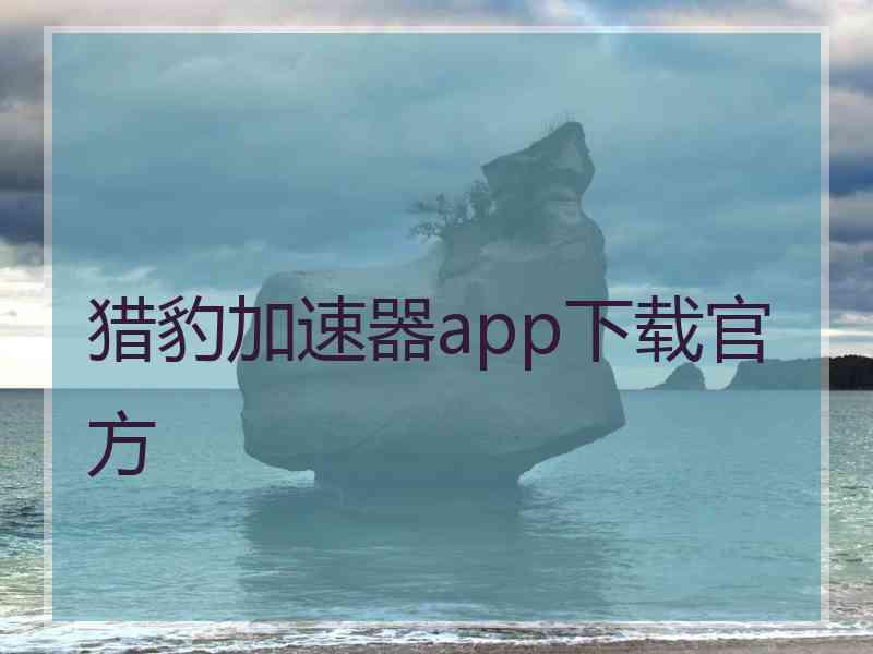 猎豹加速器app下载官方