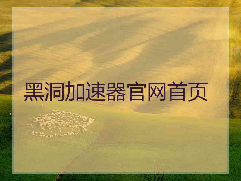 黑洞加速器官网首页
