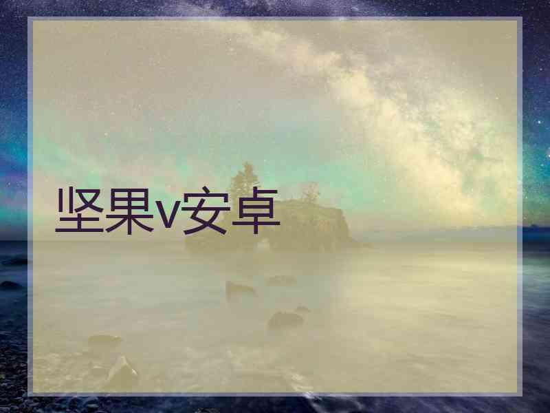 坚果v安卓