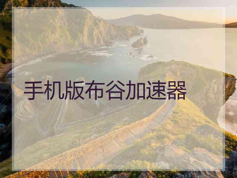手机版布谷加速器