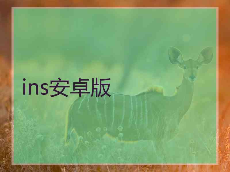 ins安卓版