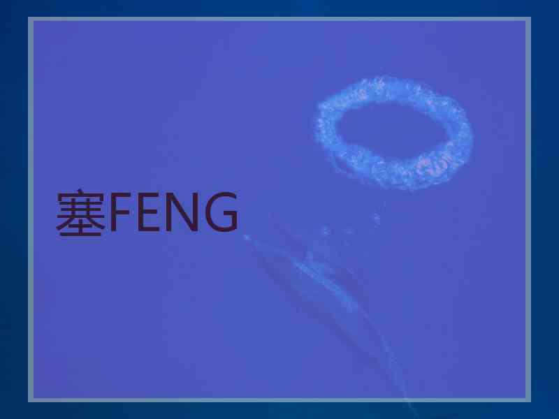 塞FENG
