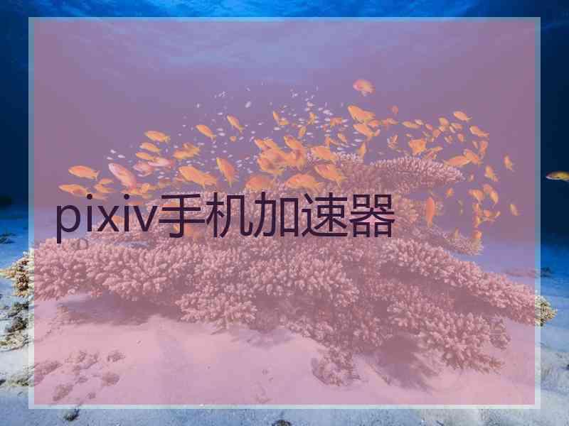 pixiv手机加速器