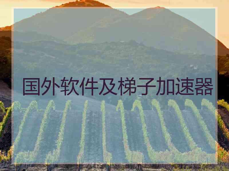 国外软件及梯子加速器