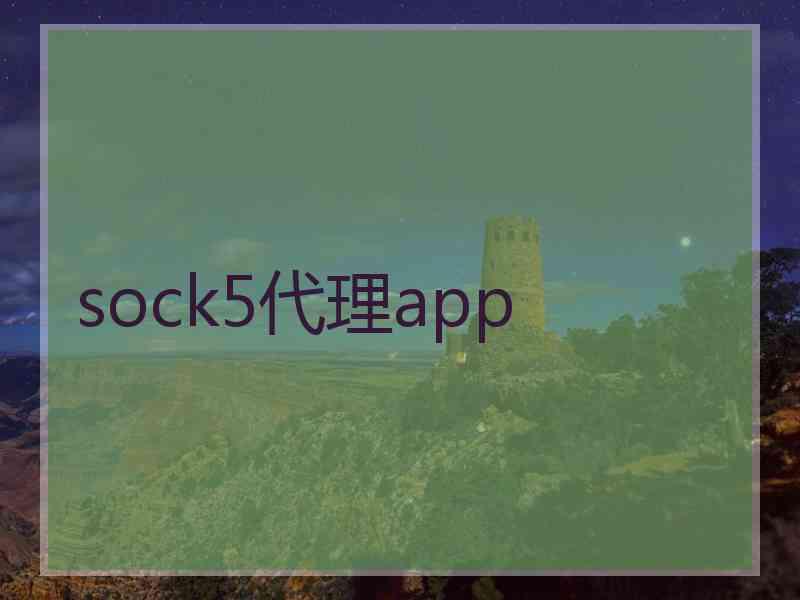 sock5代理app