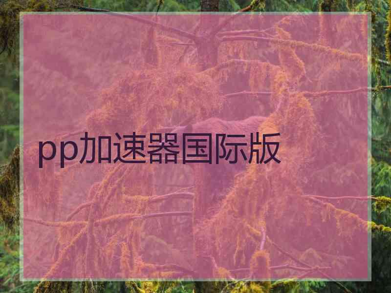 pp加速器国际版