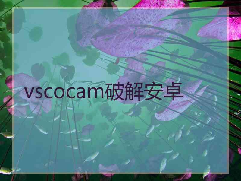 vscocam破解安卓