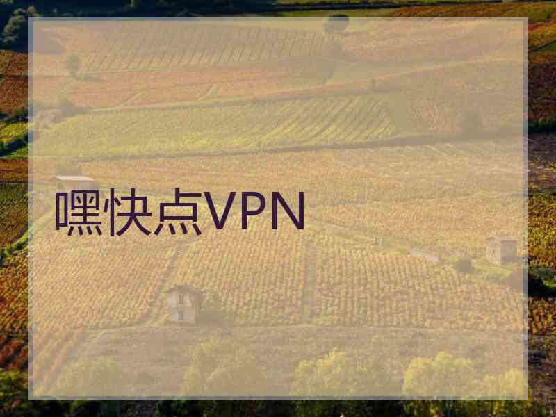 嘿快点VPN
